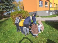 2025-10-20 Den stromů